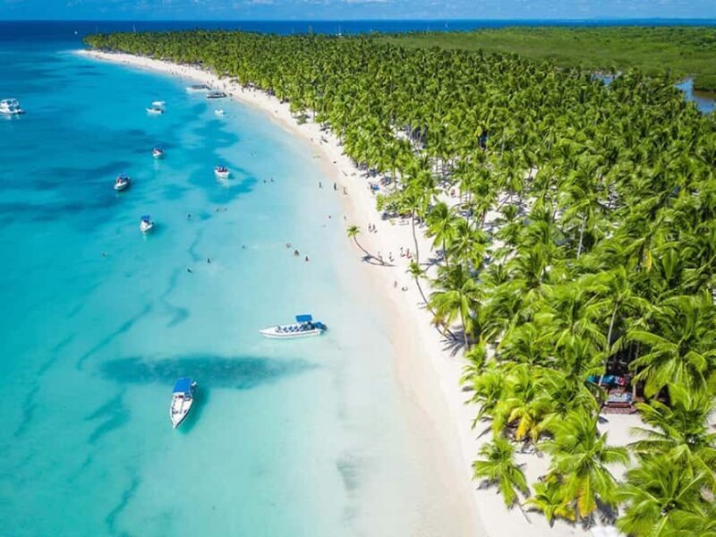From Santo Domingo: Saona Island Day Trip with Lunch - Authentic Experiences and Real Insights