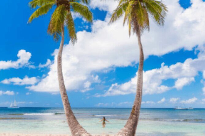 From Santo Domingo Saona Island Food And Drink Catamaran Vip - The Value Proposition