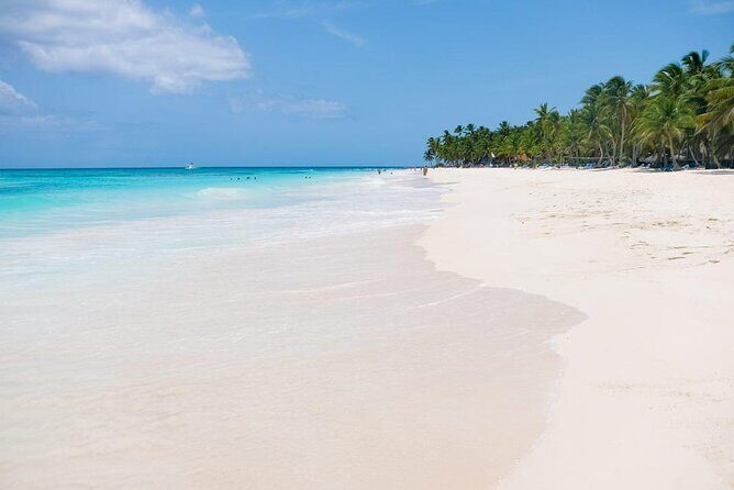 From Santo Domingo: Saona Island For Small Group Catamaran - The Sum Up: Is It Worth It?
