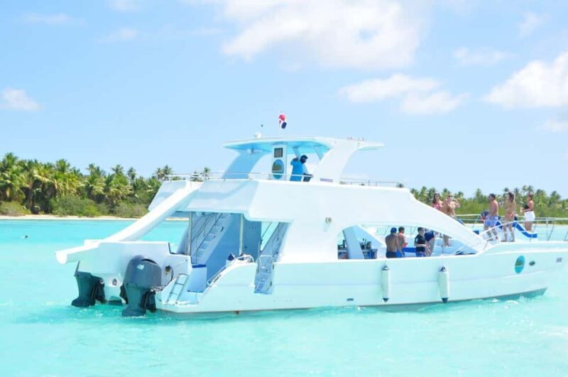 From Santo Domingo: Whale Watching & Cayo Levantado - Key Points
