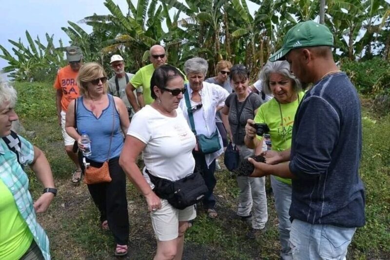 From São Filipe: Crater, Tastings & Historic Villages Tour - A Walk Through Cape Verde’s Volcanic Heart
