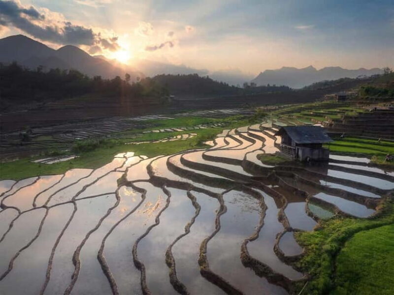 From Sapa : 1 Day Amazing Sapa Trek To Terrace rice field - Key Points
