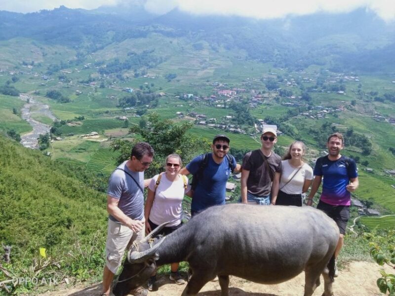 From Sapa : 1 Day Amazing Sapa Trek To Terrace rice field - Considerations and Challenges