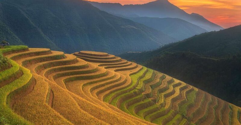 From Sapa: 1-Day Guided Trek to Lao Chai & Ta Van with Lunch - An Authentic Day in Sapa’s Countryside