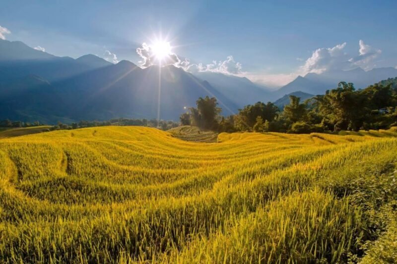 From Sapa: 1-Day Guided Trek to Lao Chai & Ta Van with Lunch - What Past Travelers Say