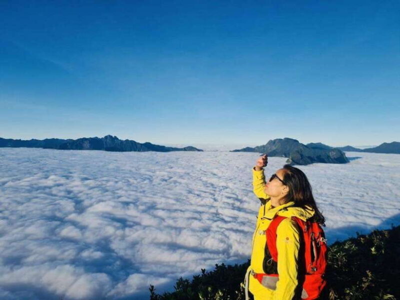 From Sapa: 2-Day Fansipan Peak Trekking Tour - Introduction