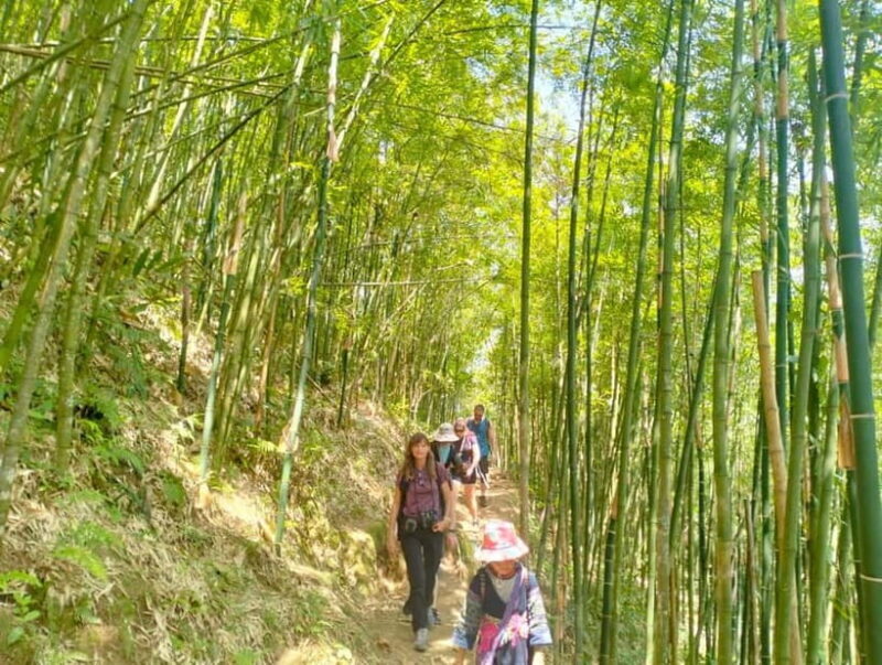 From Sapa 2-Day Sapa Trekking Trip with Homestay & Meals - Practical Details and Value