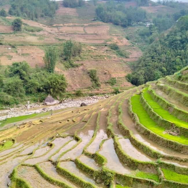 From Sapa 2-Day Sapa Trekking Trip with Homestay & Meals - Should You Take This Tour?