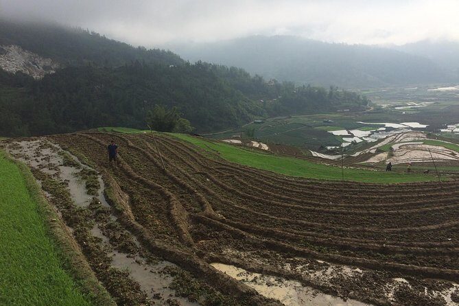 From Sapa: 2 Day Tour Through Villages and Countryside - Day 1: Start with Rice Terraces and Village Life
