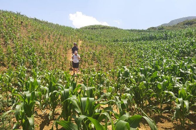 From Sapa: 2 Day Tour Through Villages and Countryside - What’s Included and What to Consider
