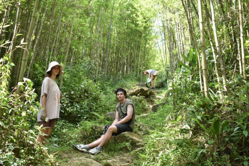 From Sapa: 2D1N Sapa Trekking Tour with Local Expert - A Practical Look at the Tour