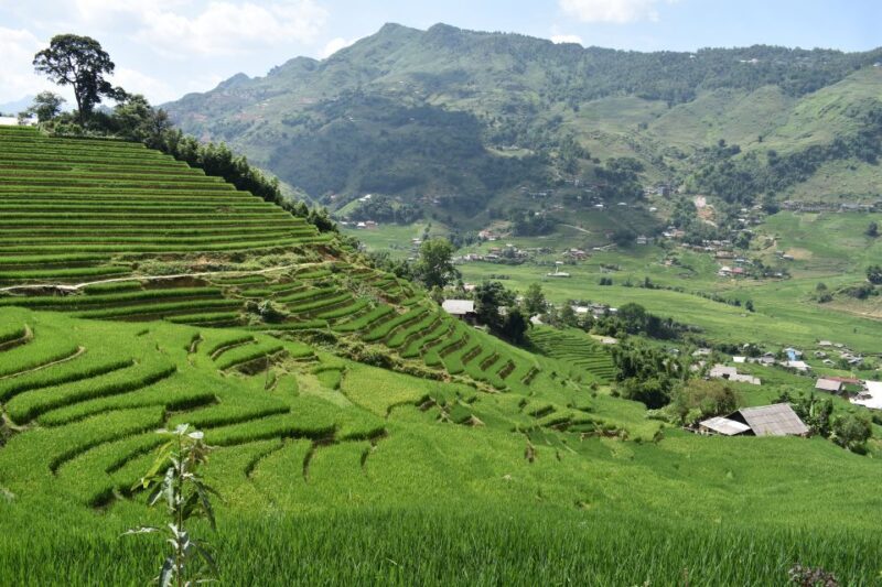 From Sapa: 2D1N Sapa Trekking Tour with Local Expert - Why This Tour Offers Good Value