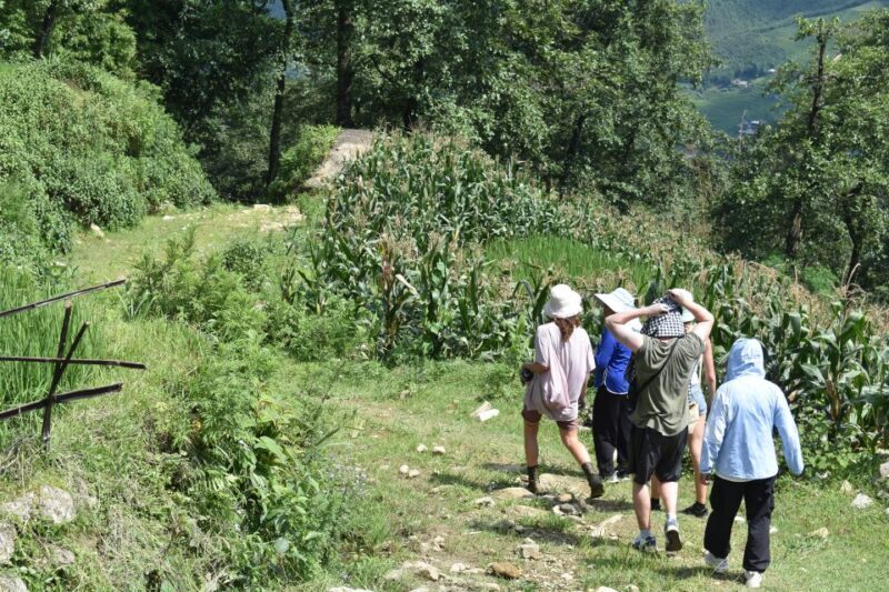 From Sapa: 2D1N Sapa Trekking Tour with Local Expert - Practical Considerations