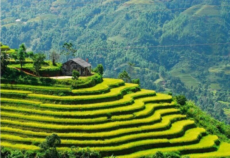From Sapa: Full-Day Trekking Tour Lao Chai & Ta Van Villages - Key Points