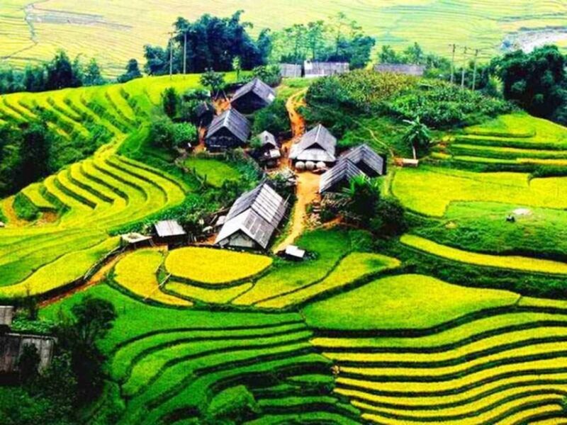 From Sapa: Full-Day Trekking Tour Lao Chai & Ta Van Villages - An in-Depth Look at the Trekking Experience