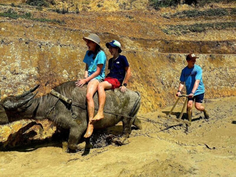 From Sapa: Full-Day Trekking Tour Lao Chai & Ta Van Villages - Authenticity and Real-World Feedback