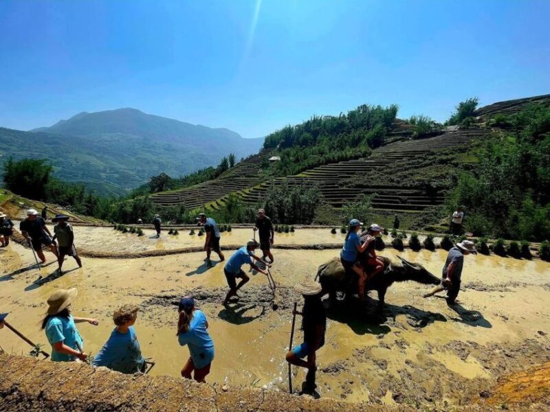 From Sapa: Full-Day Trekking Tour Lao Chai & Ta Van Villages - Who Will Love This Tour?