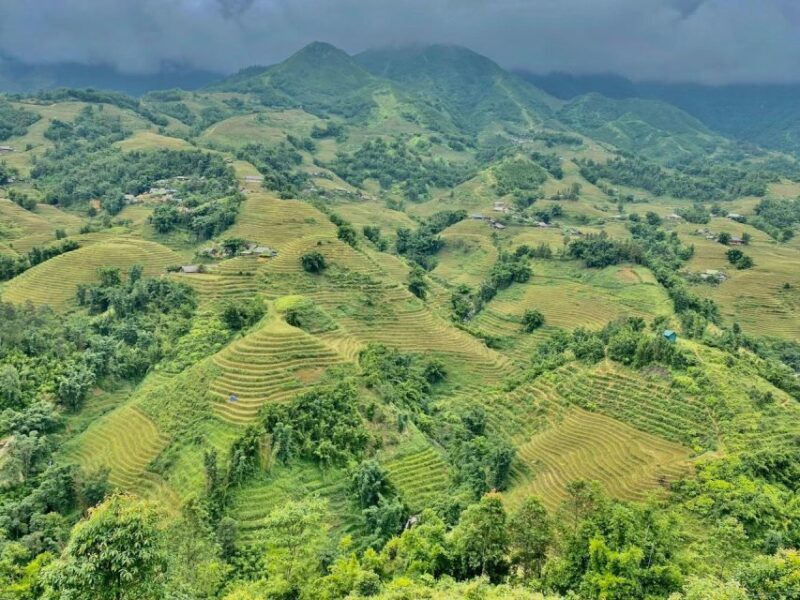 From Sapa: Full-Day Trekking Tour Lao Chai & Ta Van Villages - The Sum Up