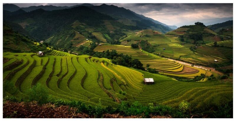 From Sapa: Terrace Fields and Local Villages Trek with Lunch - Key Points