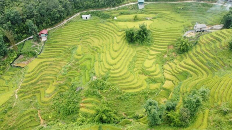 From Sapa: Terrace Fields and Local Villages Trek with Lunch - Who Would Love This Tour?