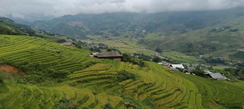 From Sapa Visit Lao Chai/Ta Van/Giang Ta Chai Sleep Homestay - A Deep Dive into the Sapa Trek Experience