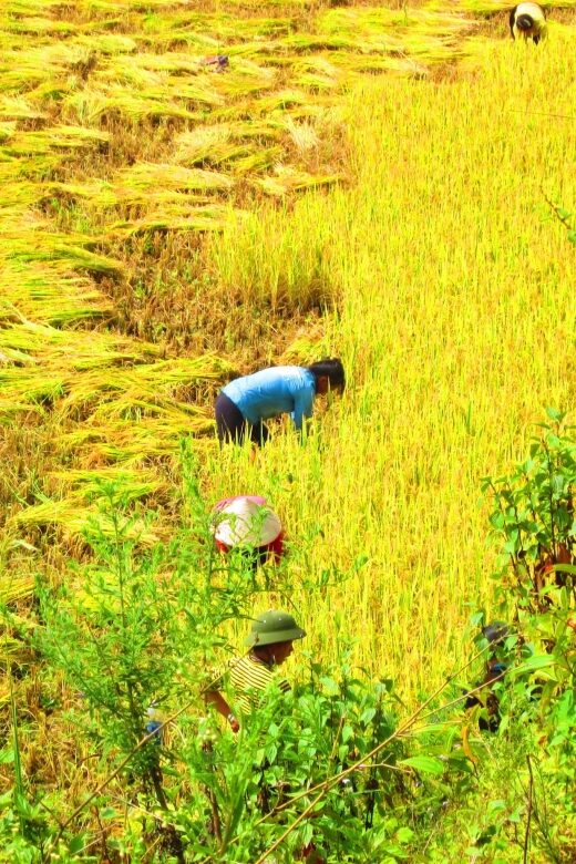 From Sapa: Waterfalls, Trekking and Tribal Villages Tour - From Sapa: Waterfalls, Trekking and Tribal Villages Tour