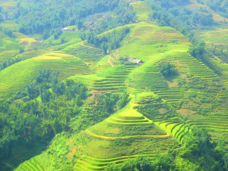 From Sapa: Waterfalls, Trekking and Tribal Villages Tour - An Authentic Day Out in Sapa’s Natural and Cultural Heart
