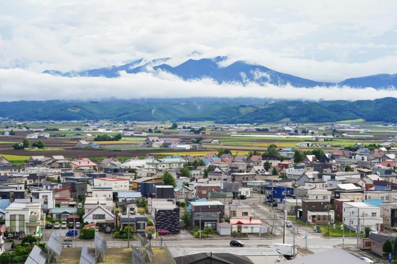 From Sapporo: Furano and Biei Vibrant Fields Tour - The Sum Up: Is It Worth It?
