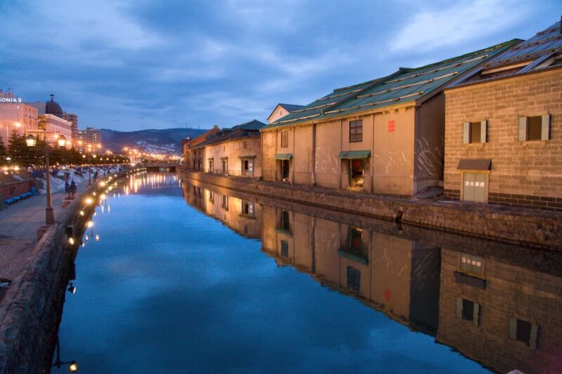 From Sapporo: Private Customized Day Tour to Otaru - Authentic Experiences and What Travelers Say
