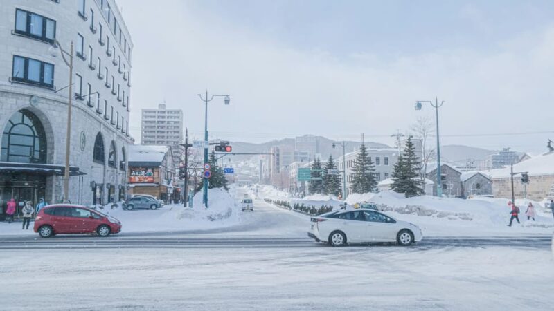 From Sapporo: Private Customized Day Tour to Otaru - The Sum Up