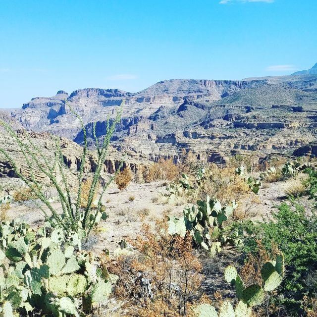 From Scottsdale/Phoenix: Apache Trail Day Tour - Practical Details and Value
