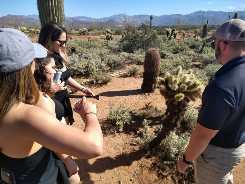 From Scottsdale: Sonoran Desert & Tonto National Forest Trip - Authentic Experiences Confirmed by Guests