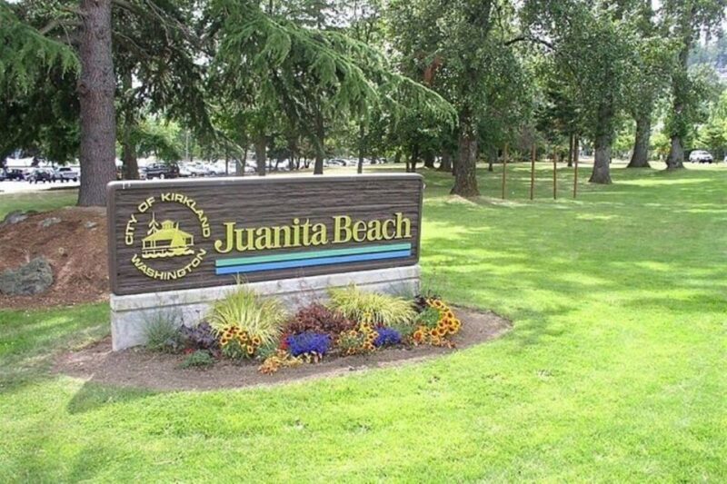 From Seattle: 5-hour Seattle and Suburbs Attractions Tour - An Overview of the Experience