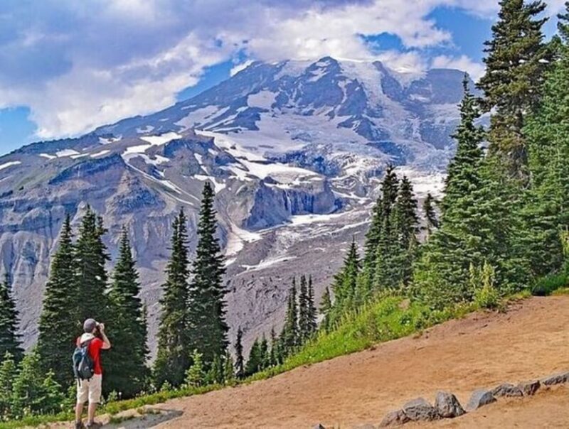 From Seattle: Full-Day Mt Rainier National Park Tour - Authentic Experiences: What We Learned from Reviews