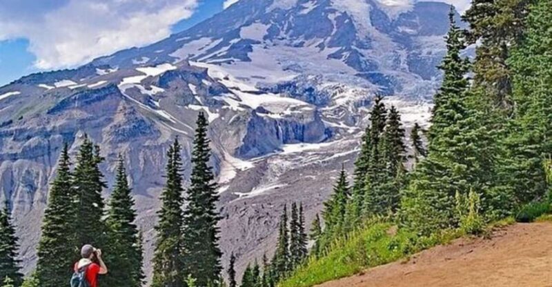 From Seattle: Full-Day Mt Rainier National Park Tour - Summing Up: Is This Tour Worth It?