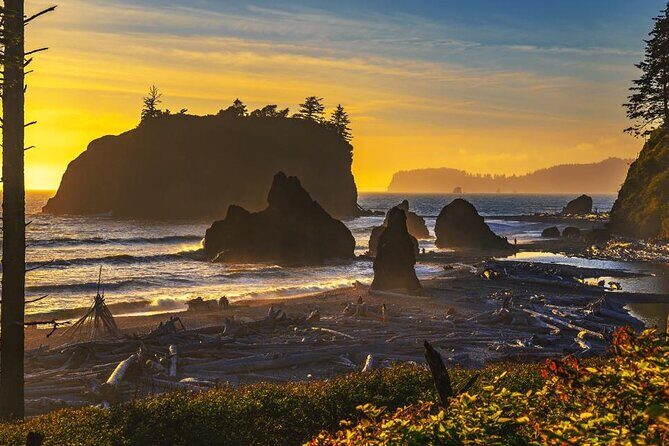 From Seattle Hoh rain forest and Olympic National Park Highlight - Final Thoughts