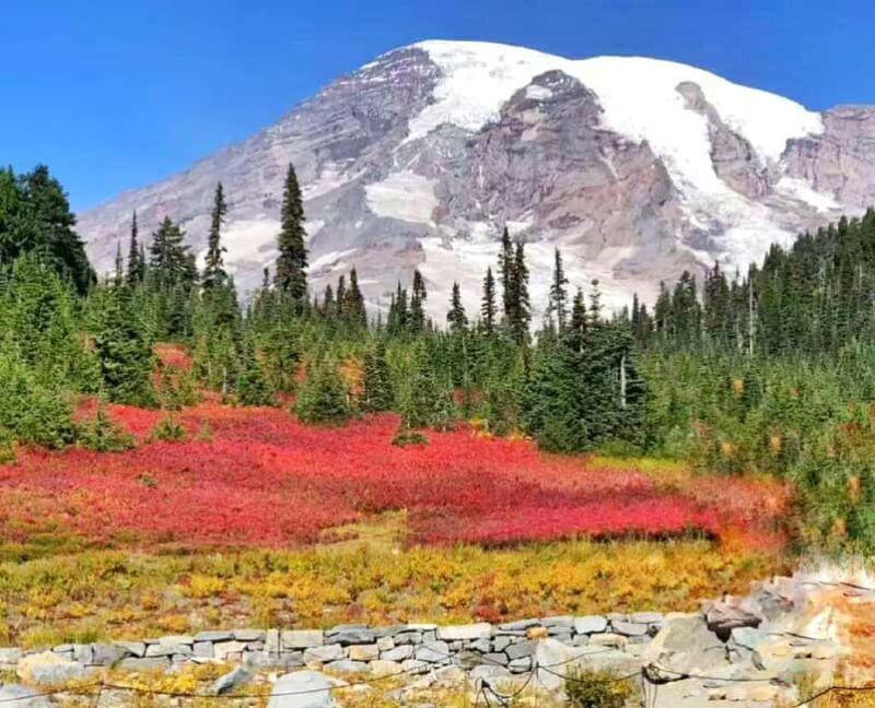From Seattle: Mount Rainier National Park 1-Day Tour - Why Choose This Tour?