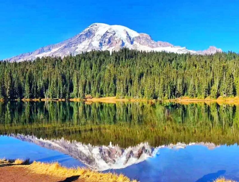 From Seattle: Mount Rainier National Park 1-Day Tour - Authentic Experiences and Insights