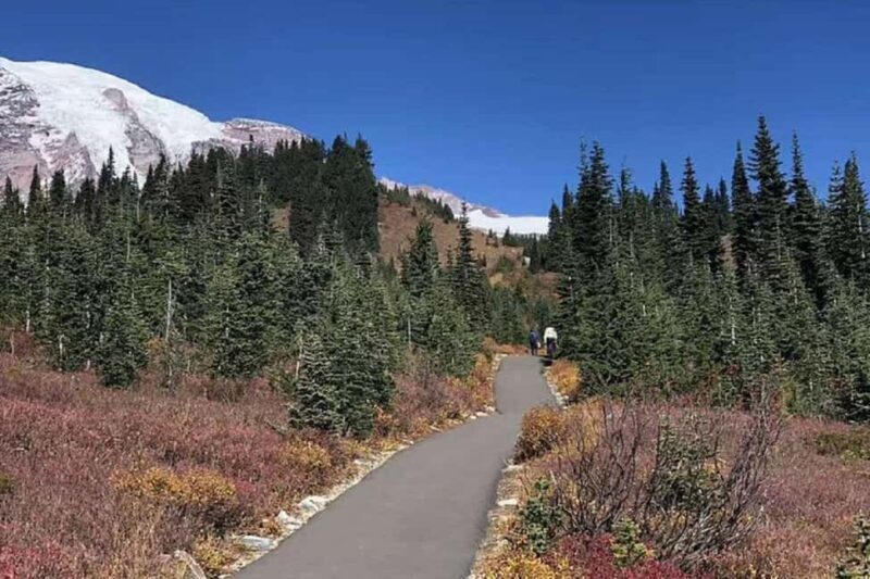 From Seattle: Mount Rainier National Park 1-Day Tour - FAQs