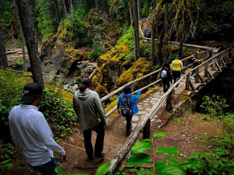 From Seattle: Mount Rainier National Park Guided Tour - An Overview of the Experience