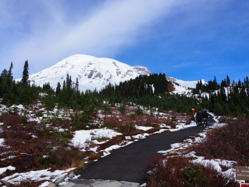 From Seattle: Mount Rainier National Park Guided Tour - Transportation and Timing