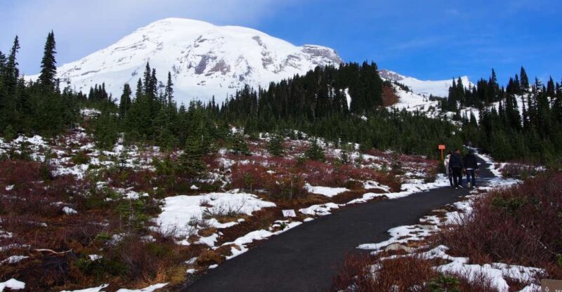 From Seattle: Mount Rainier National Park Guided Tour - The Role of the Guide