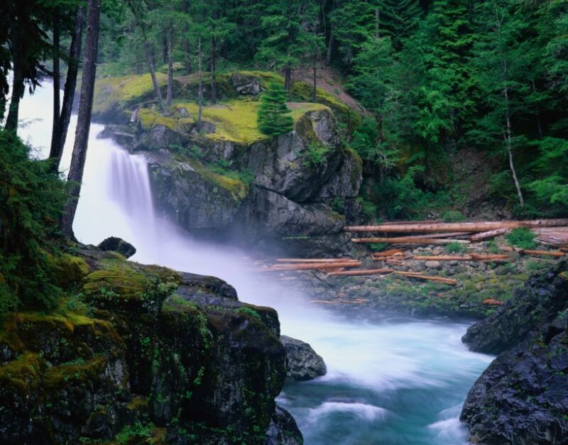From Seattle: Mount Rainier National Park Guided Tour - Comfort and Practicalities