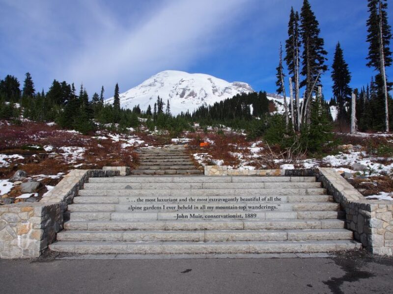 From Seattle: Mount Rainier National Park Guided Tour - Who Would Enjoy This Tour?