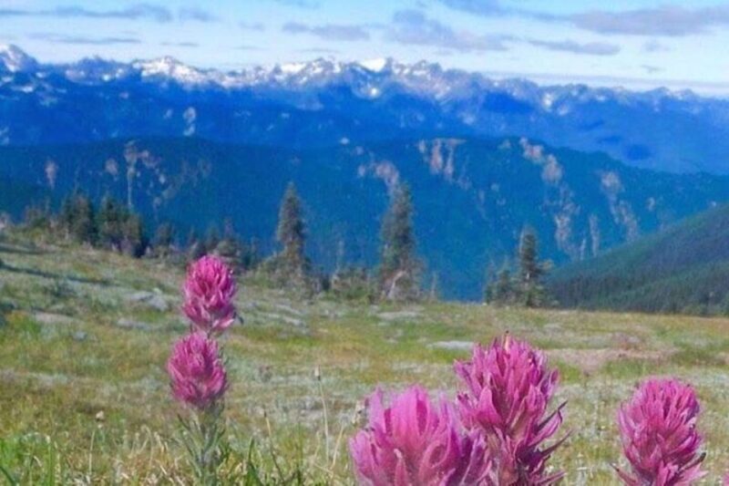 From Seattle: Olympic National Park Full Day Tour - An In-Depth Look at the Olympic National Park Full Day Tour