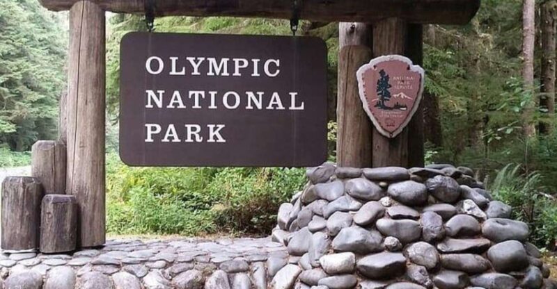 From Seattle: Olympic National Park Full Day Tour - Final Thoughts