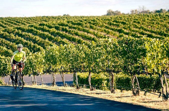 From Seattle Wine Tasting, Vineyards in Eastern WA - Who Would Love This Tour?