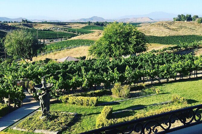 From Seattle Wine Tasting, Vineyards in Eastern WA - The Sum Up
