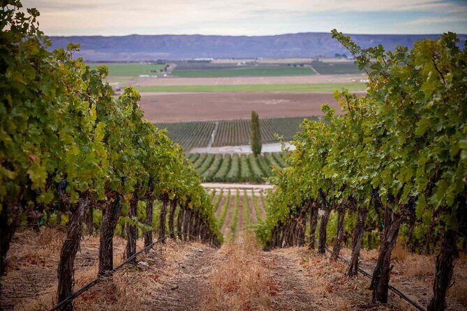 From Seattle Wine Tasting, Vineyards in Eastern WA - FAQ
