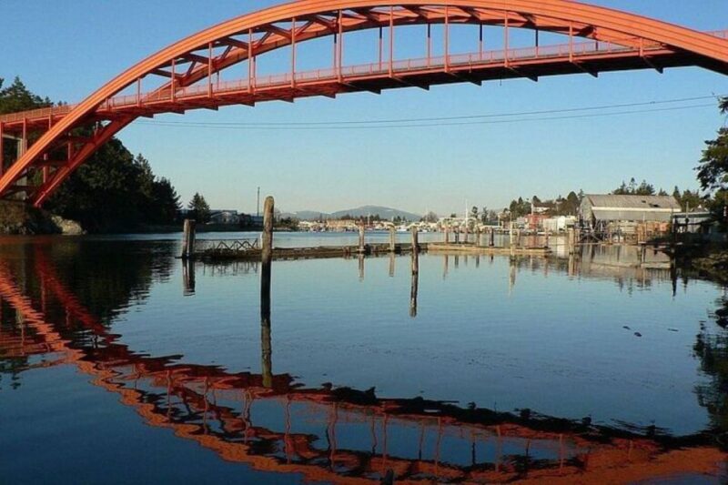 From Seattle:Tulip Festival at Skagit Valley and La Conner - Authentic Experiences and Traveler Feedback